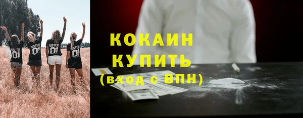 эйфоретик Арсеньев