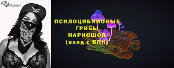эйфоретик Арсеньев