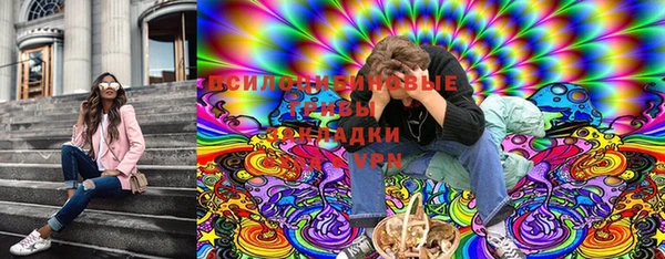 эйфоретик Арсеньев