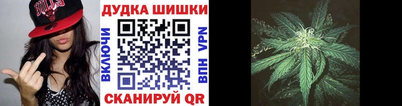Купить где  Белогорск  Канабис план 